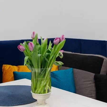 With Veranda Torunska By Renters 아파트 *